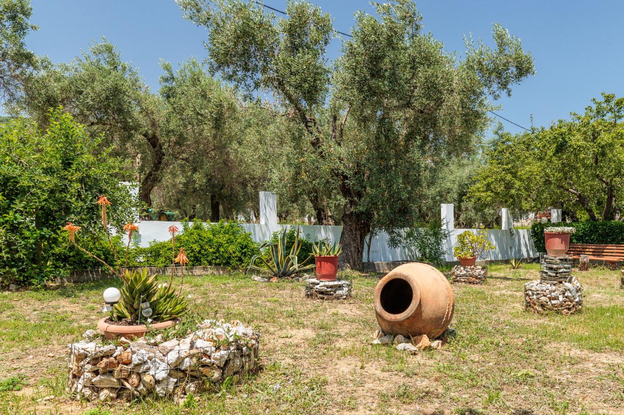 Panagou Studios Skopelos Town Ngoại thất bức ảnh